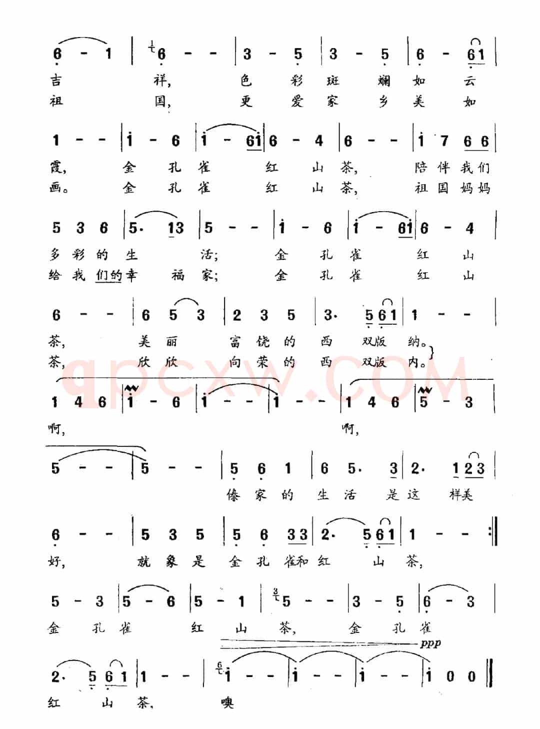 金孔雀和红山茶