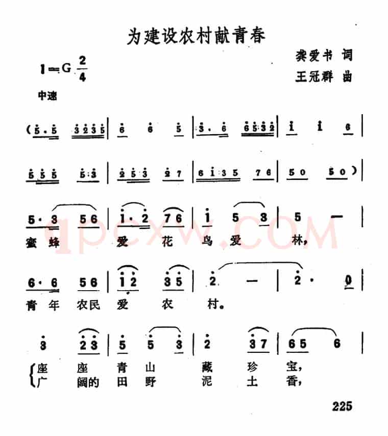 为建设农村献青春