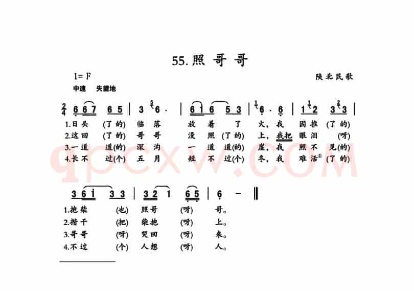 照哥哥