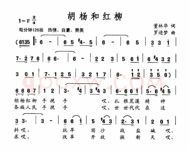 胡杨和红柳