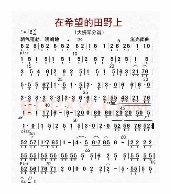 在希望的田野上（大提琴分谱）