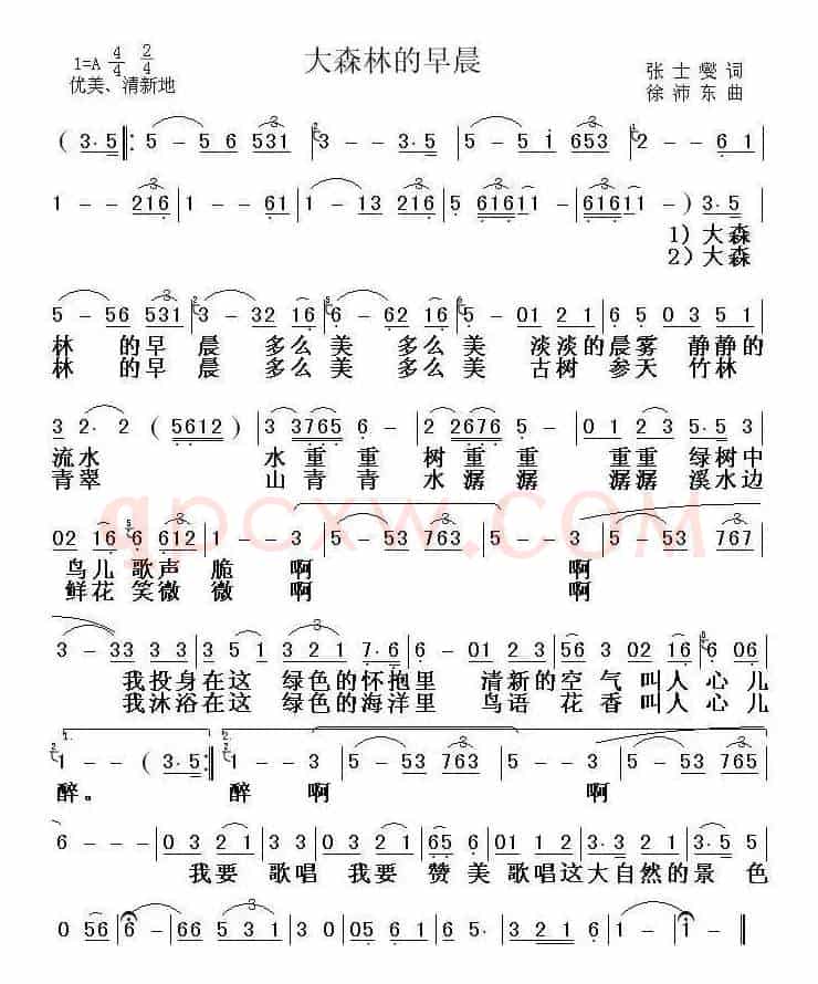 大森林的早晨