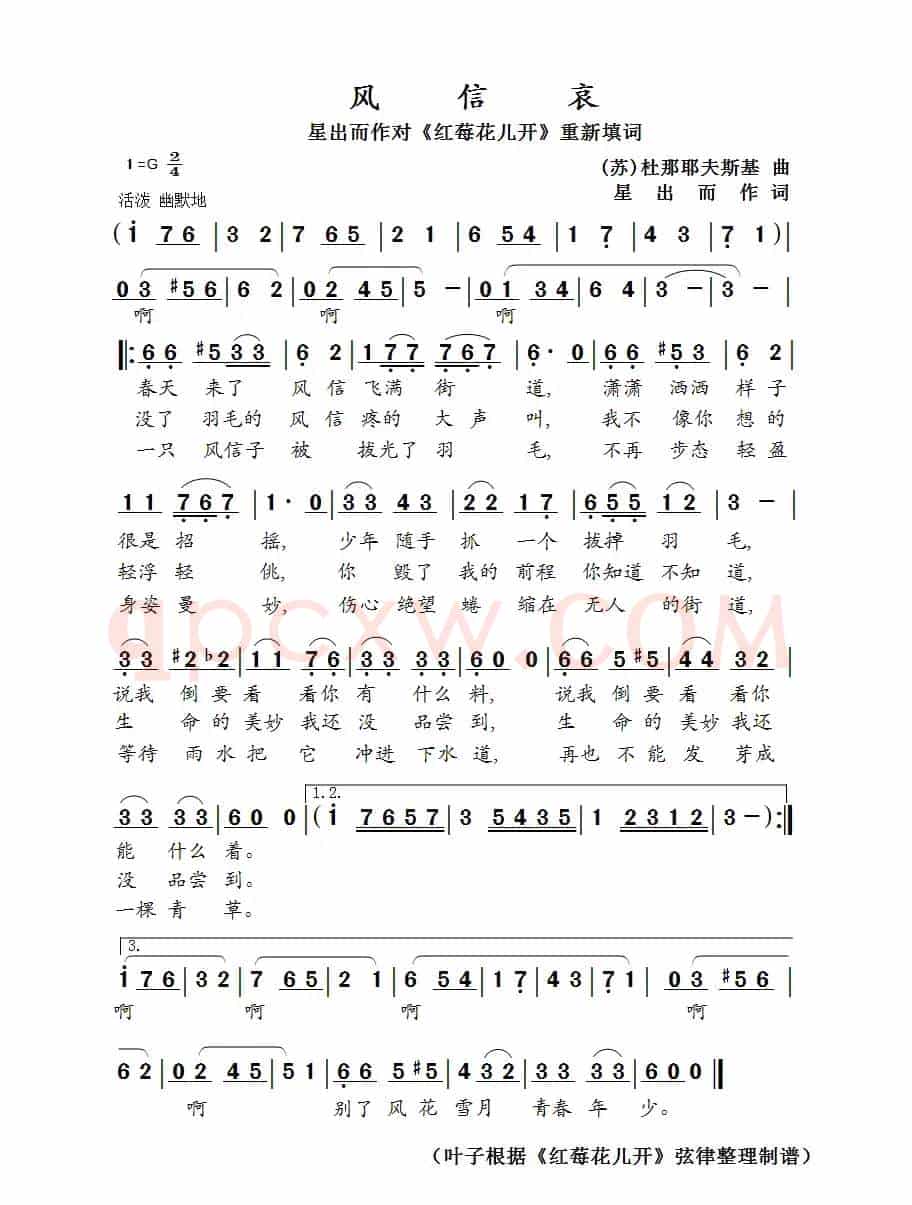 风信哀