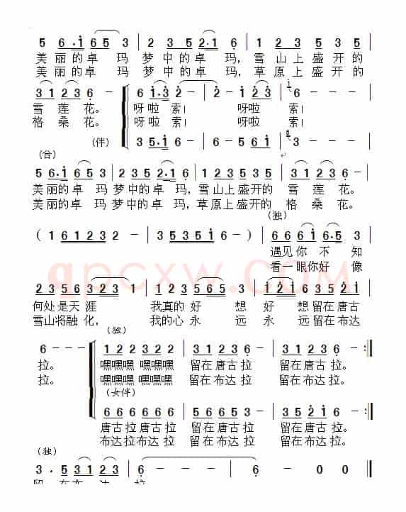 梦中的卓玛（汪晓罗词 周善儒曲）（版本二）