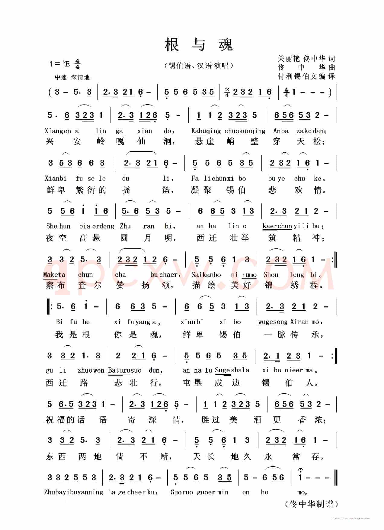 根与魂 