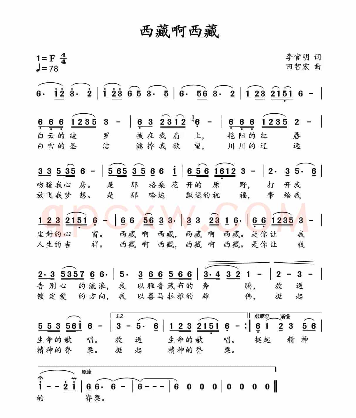 西藏啊西藏