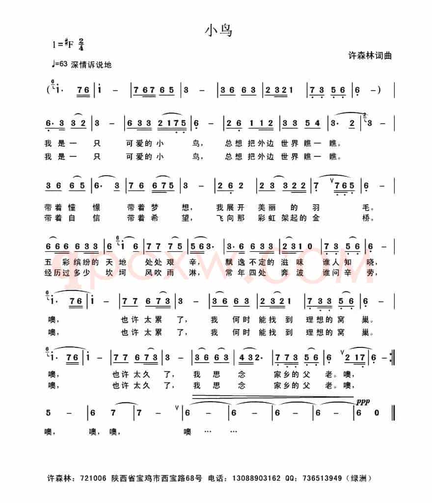 小鸟（许森林 词曲）