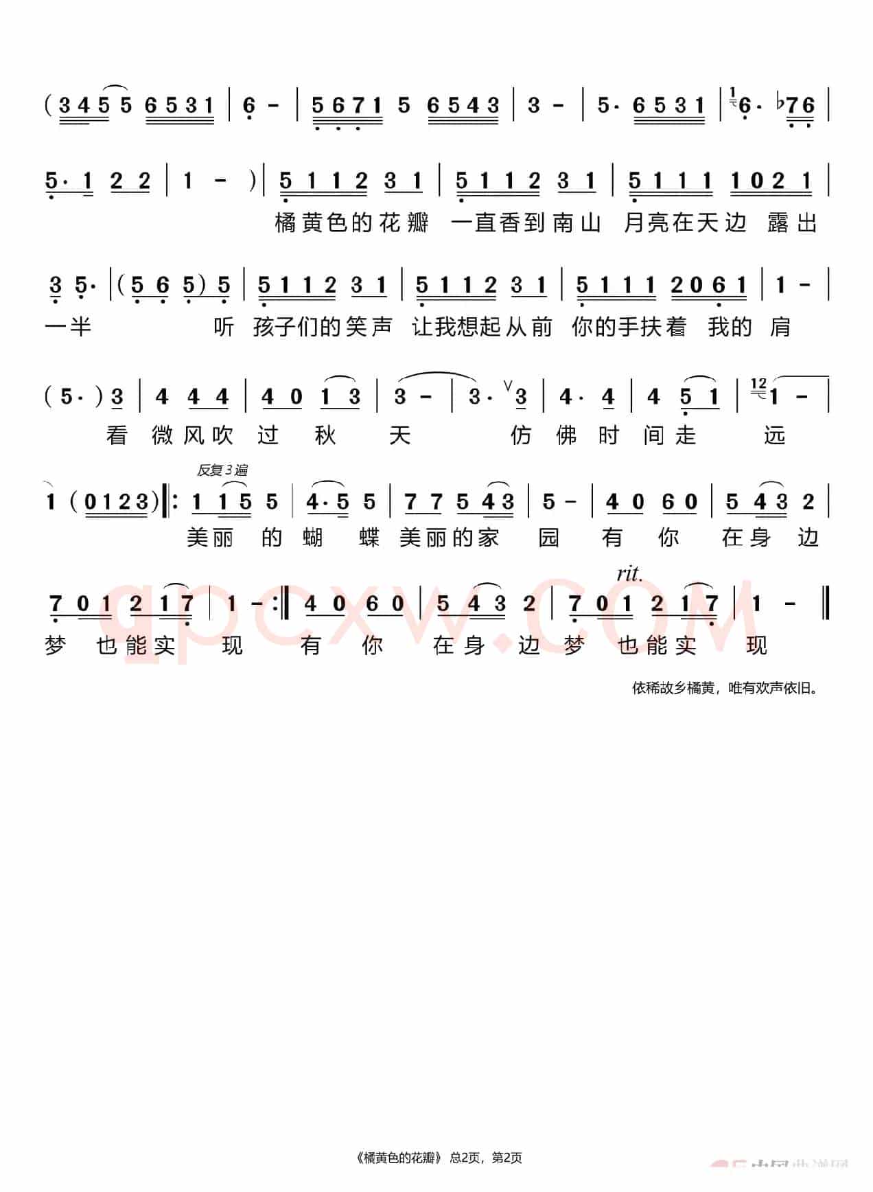 橘黄色的花瓣（苗苗）