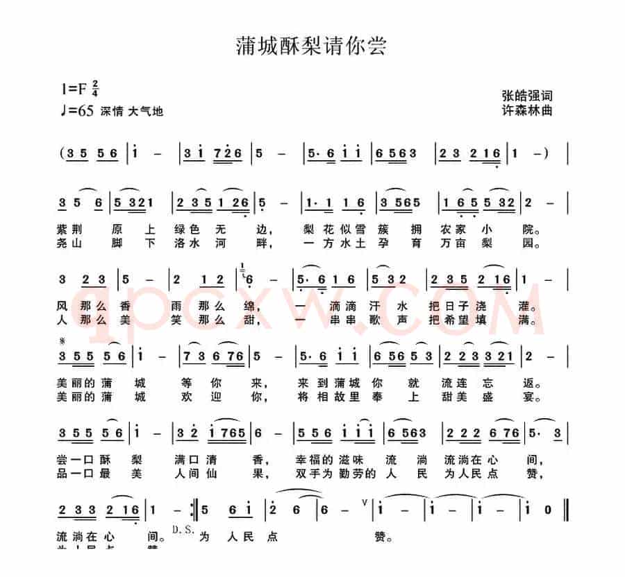 蒲城酥梨请你尝
