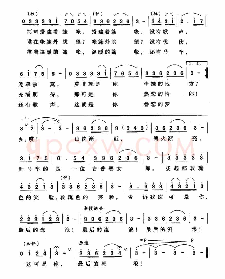 赶车的吉普赛女郎