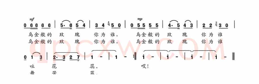 黑玫瑰（赵金词 赵金曲）