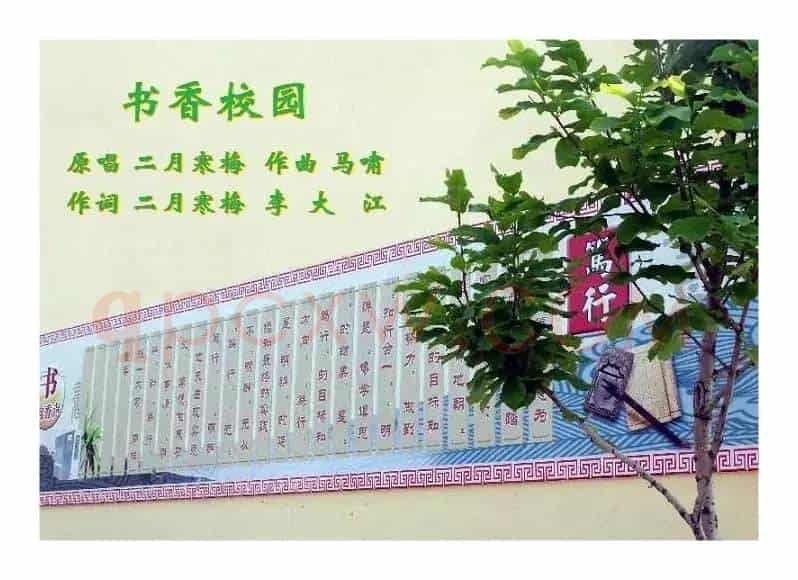 书香校园( )