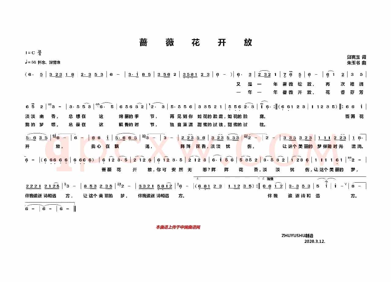 蔷薇花开放