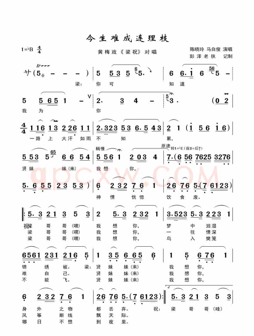 今生难成连理枝（黄梅戏《梁祝》音乐唱段）