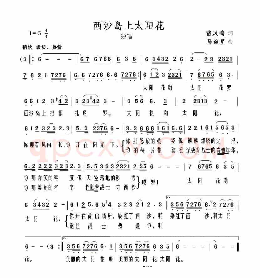 西沙岛上太阳花