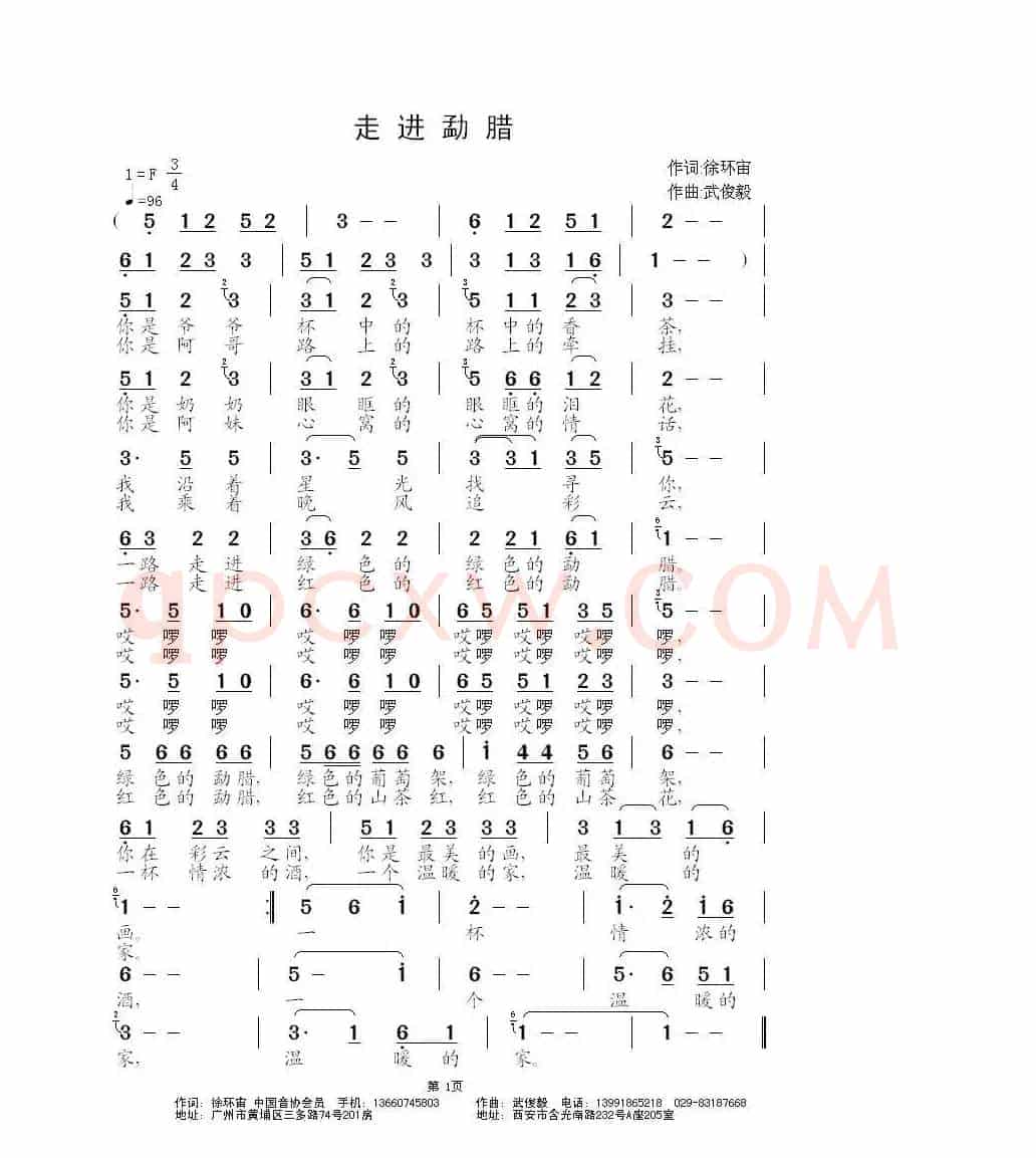 走进勐腊