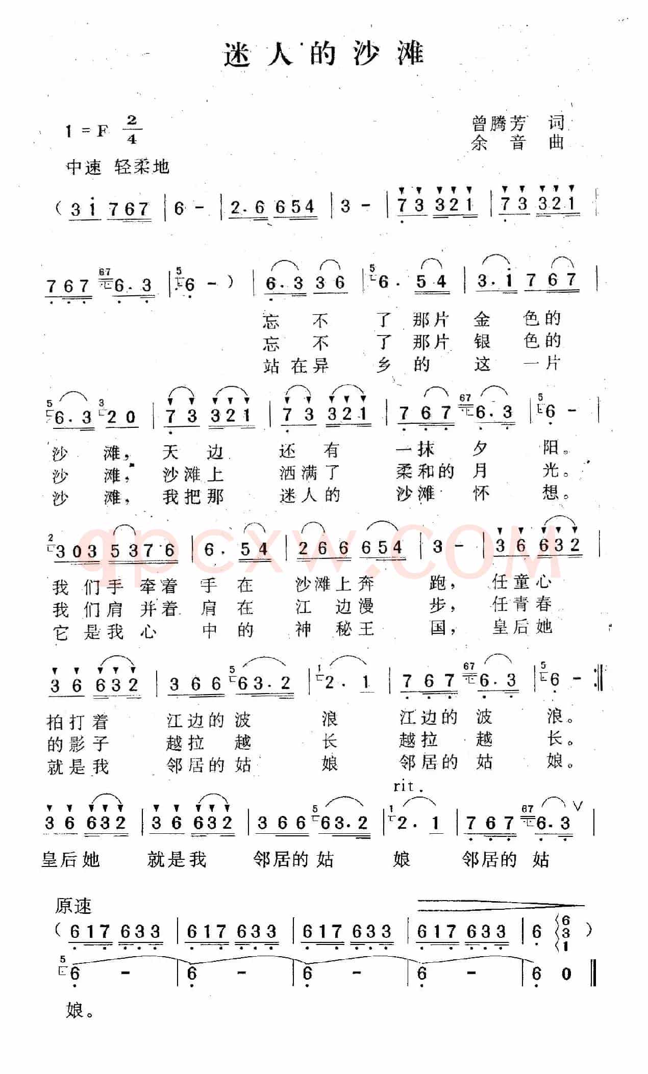 迷人的沙滩