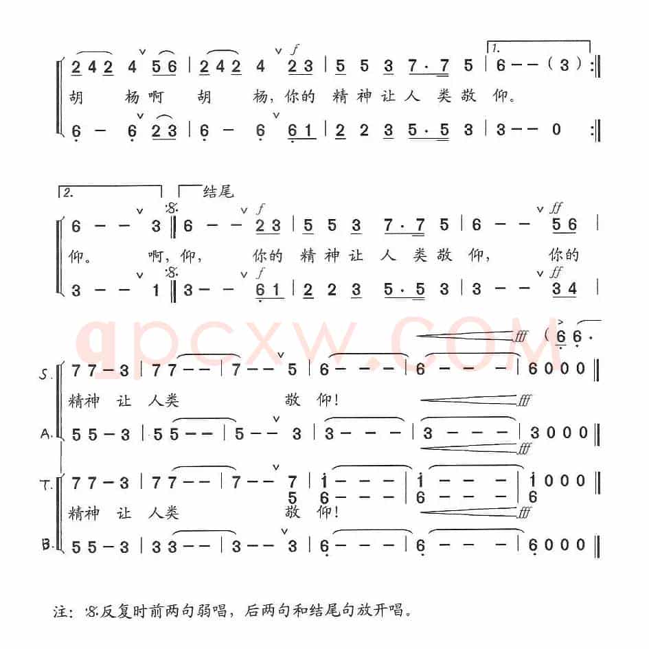 胡杨颂(酒泉金塔胡杨节主题歌)