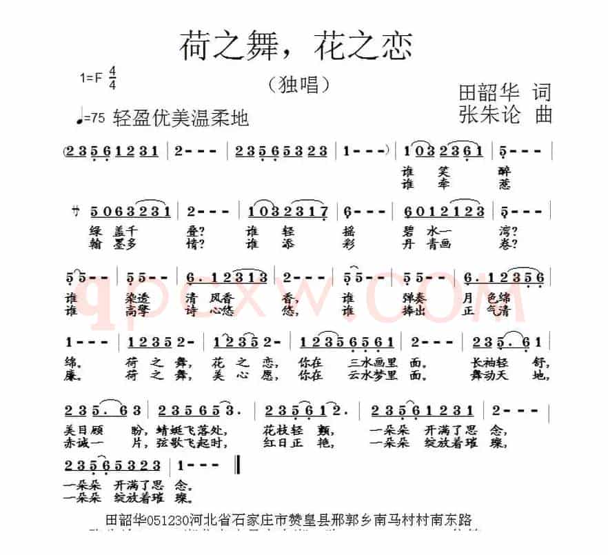 荷之舞，花之恋