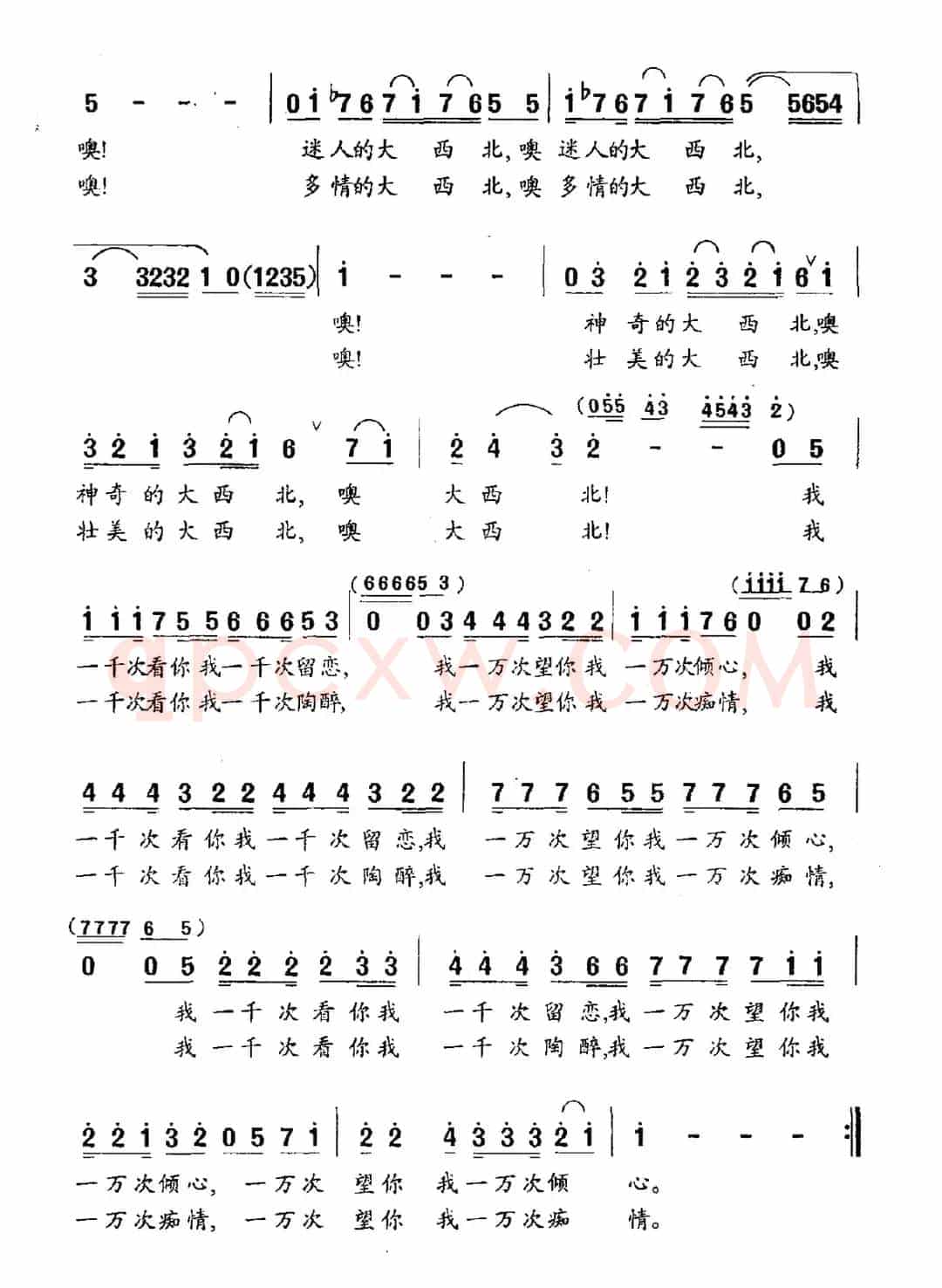 大西北之恋