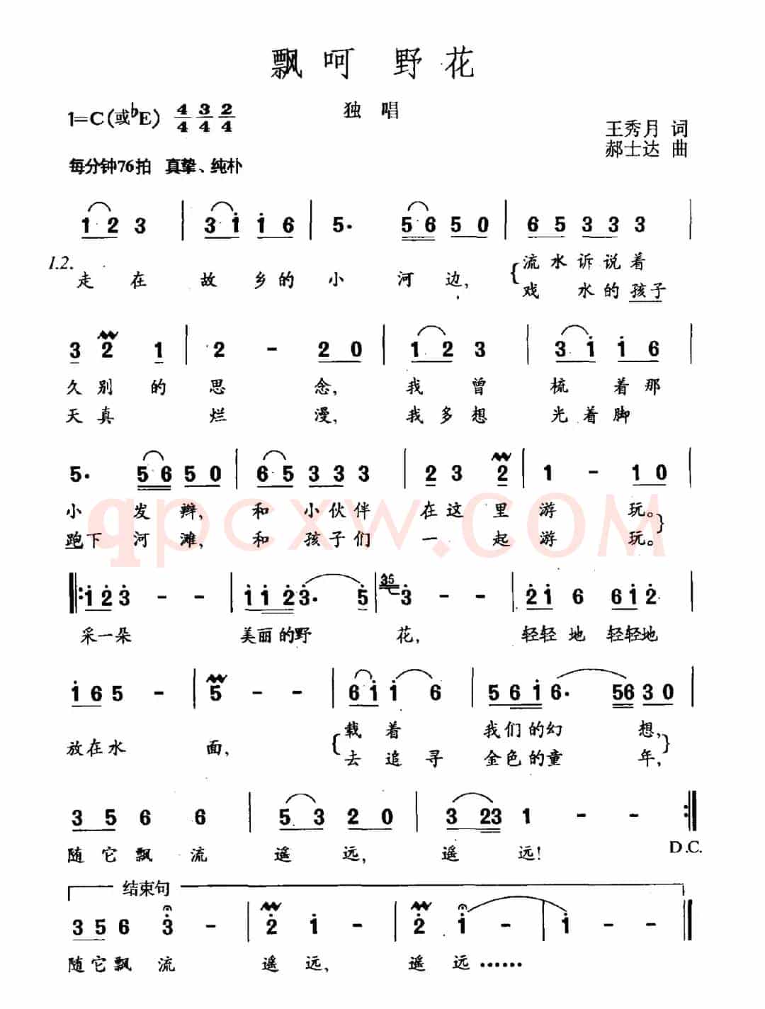 飘呵 野花
