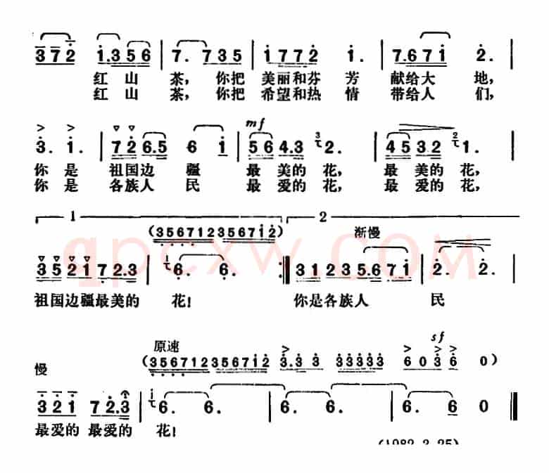 我爱春城红山茶