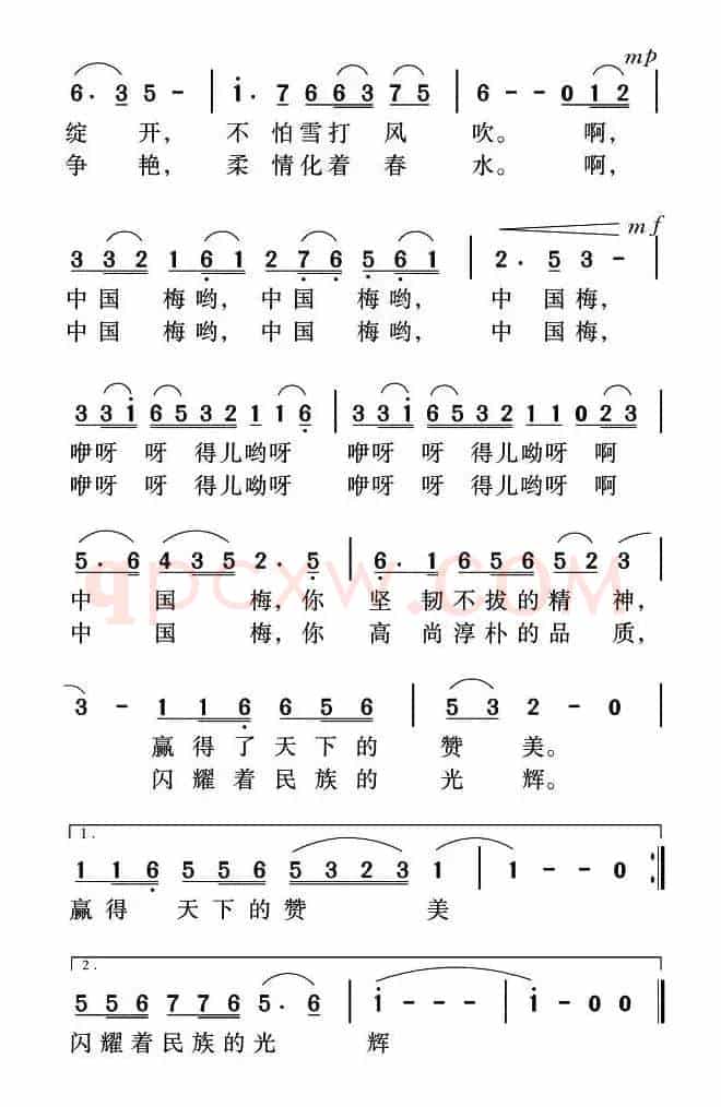 中国梅（胡泽民词 姜金富曲）