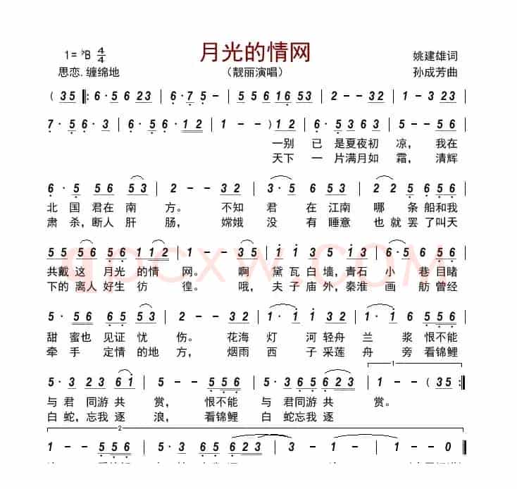 月光的情网