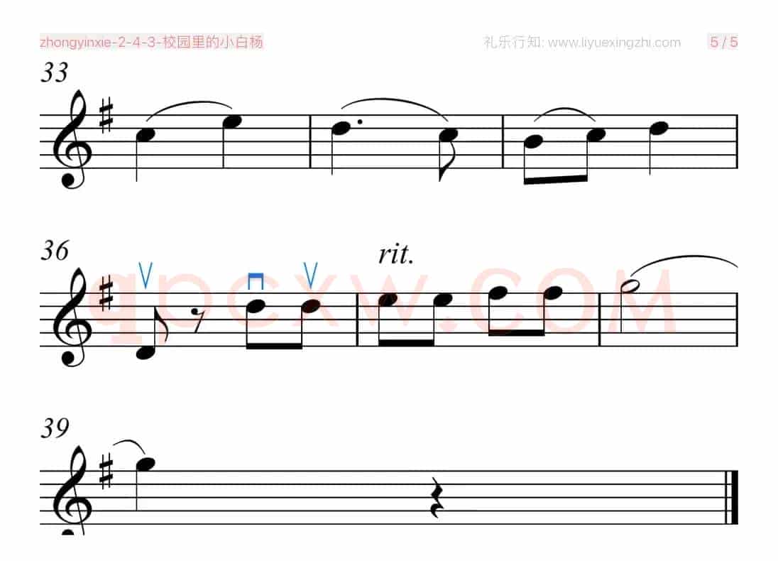校园里的小白杨（小提琴）