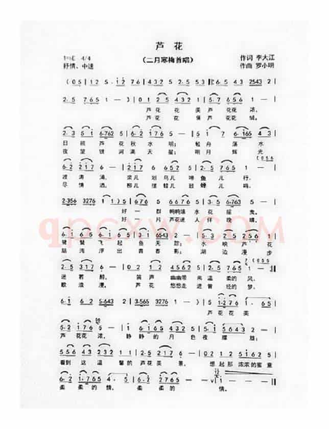 芦花