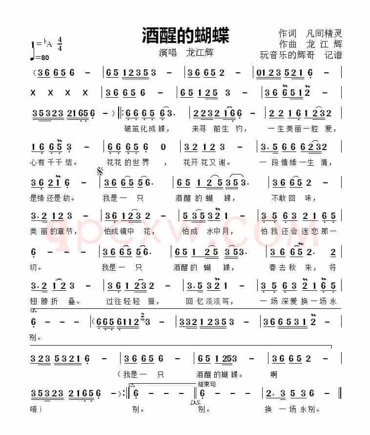 酒醒的蝴蝶（龙江辉）