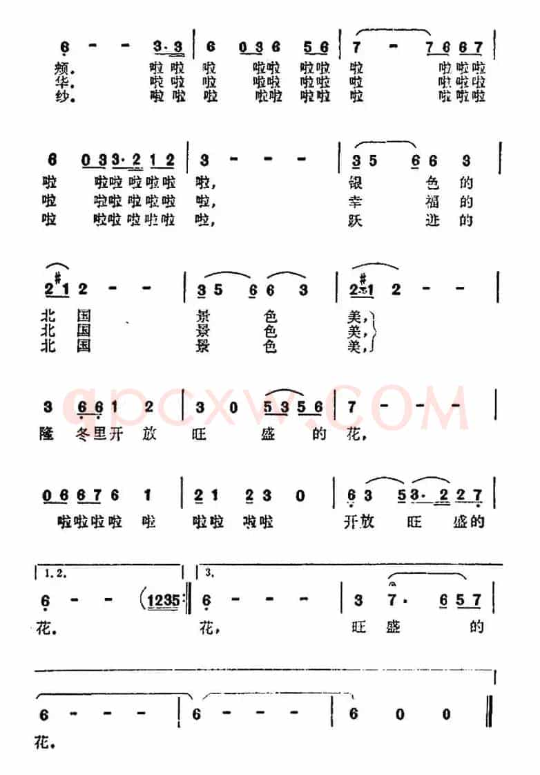 隆冬里开放旺盛的花