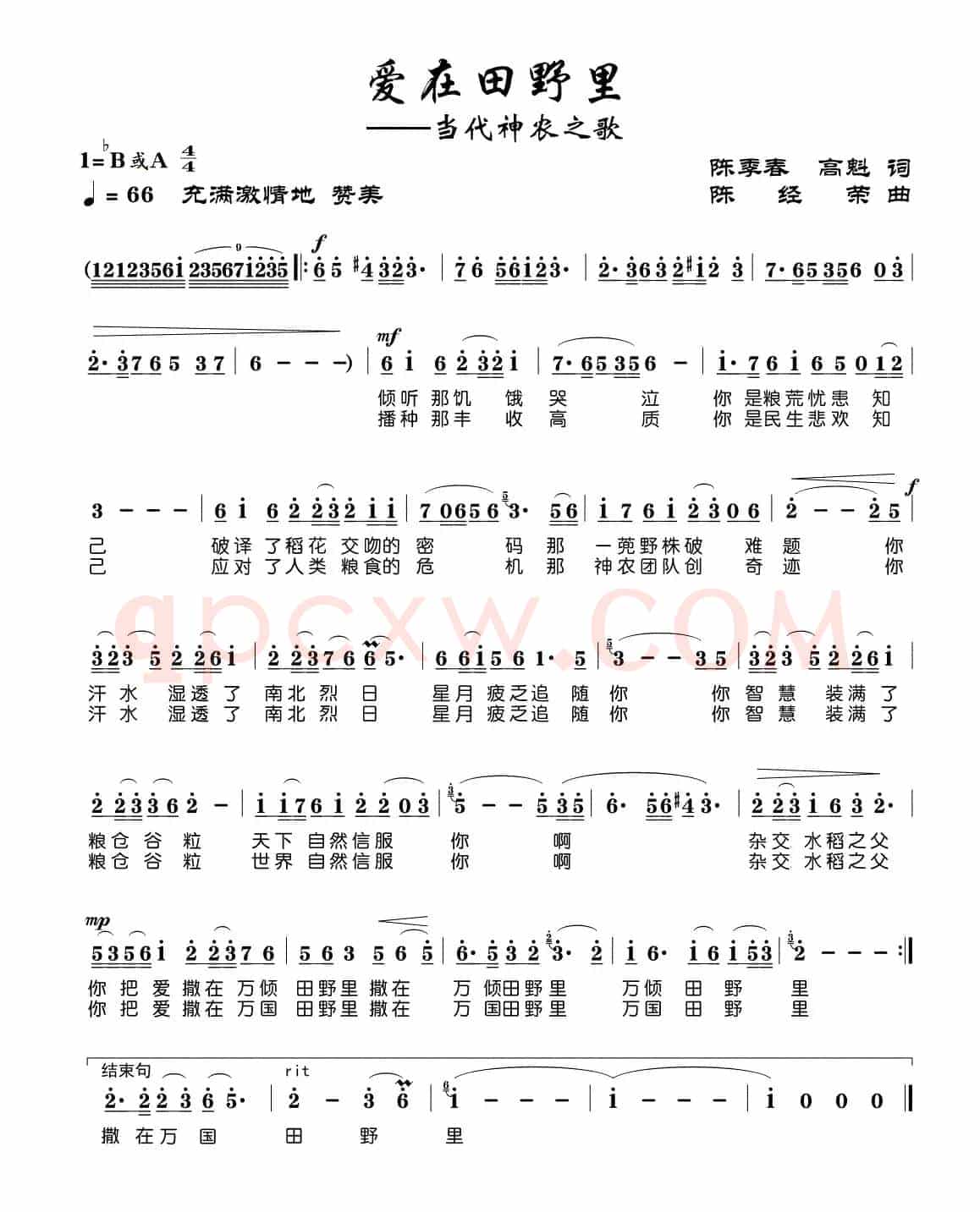 爱在田野里