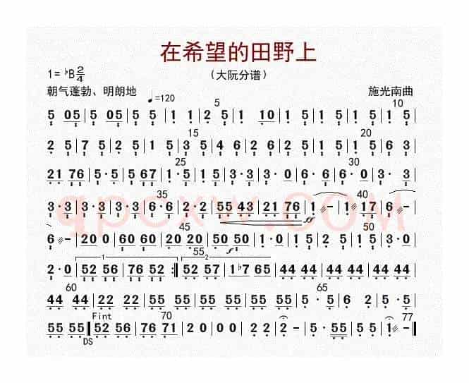 在希望的田野上（大阮分谱）