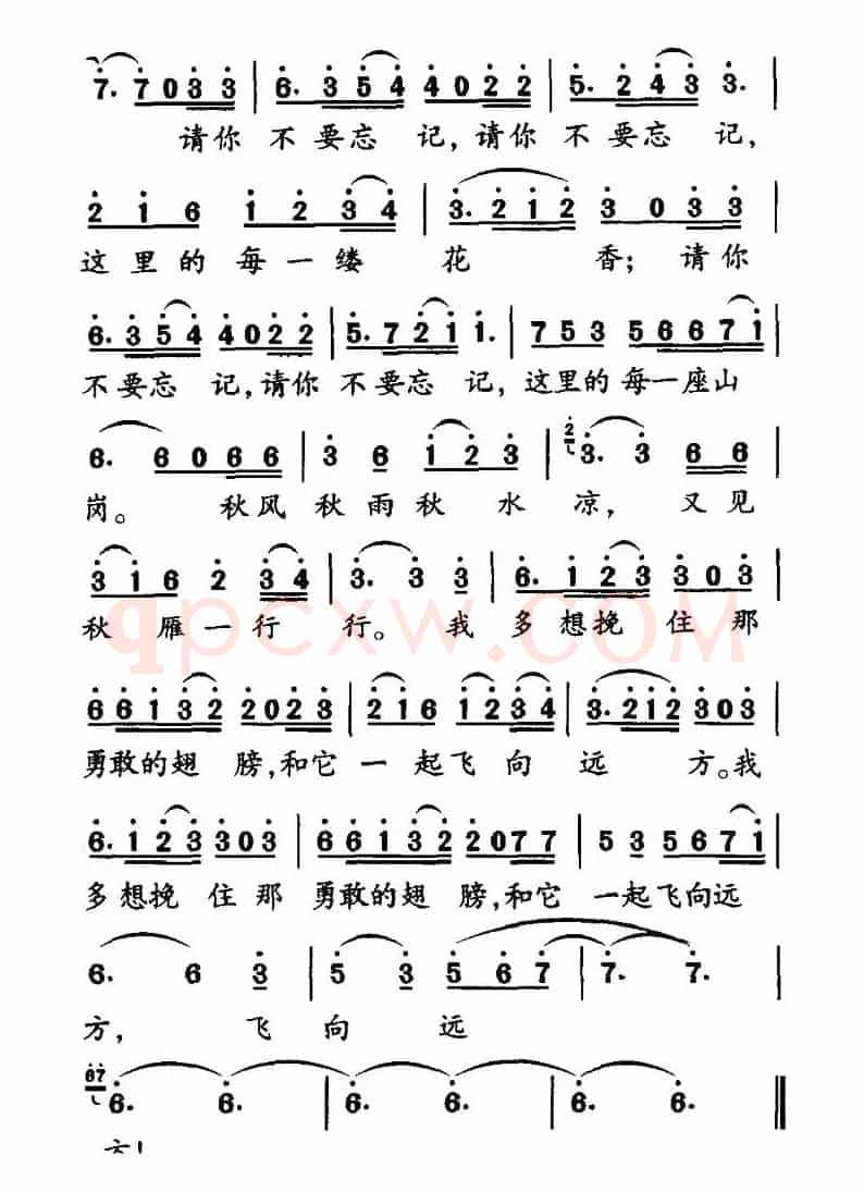 又见秋雁一行行