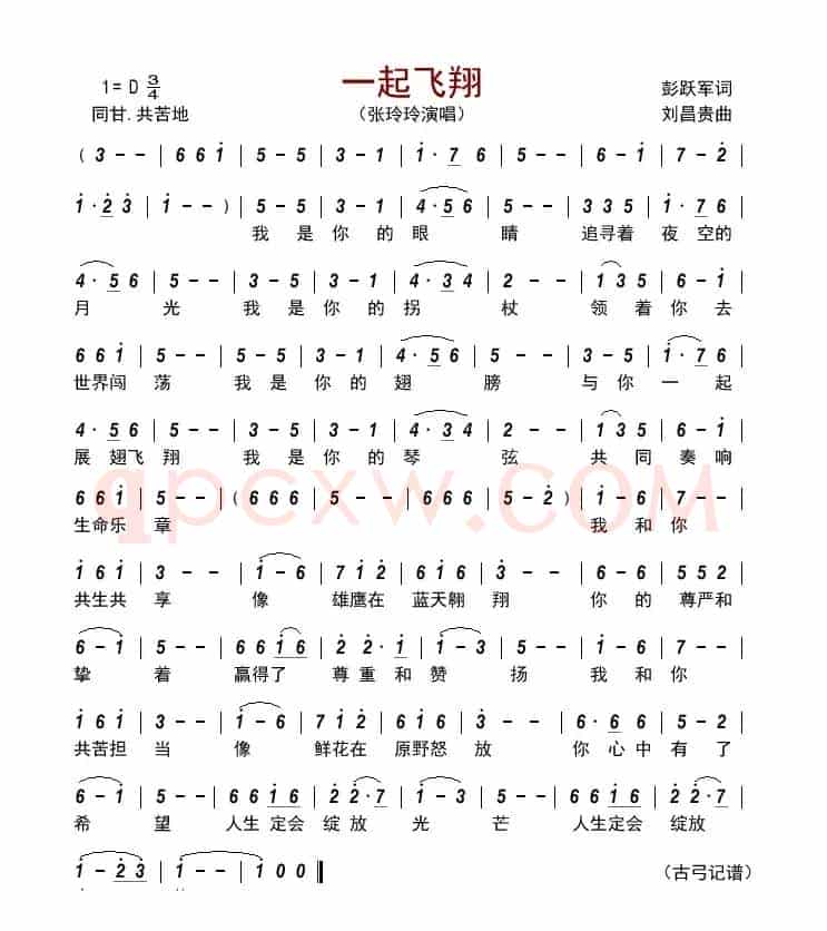 一起飞翔