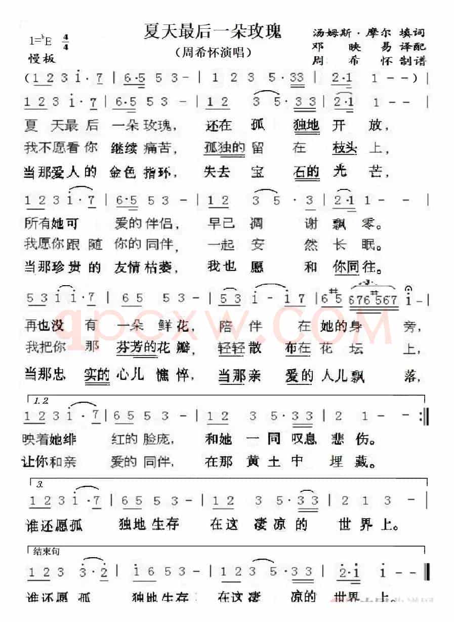 夏天最后一朵玫瑰(周希怀演唱)