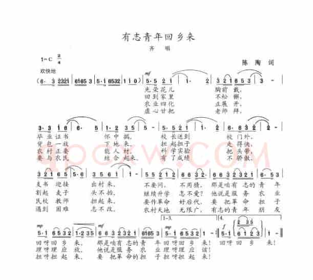有志青年回乡来
