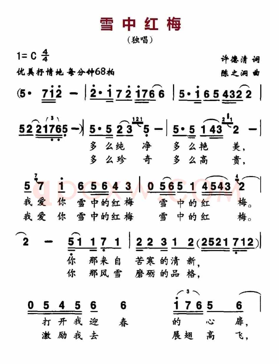 雪中红梅