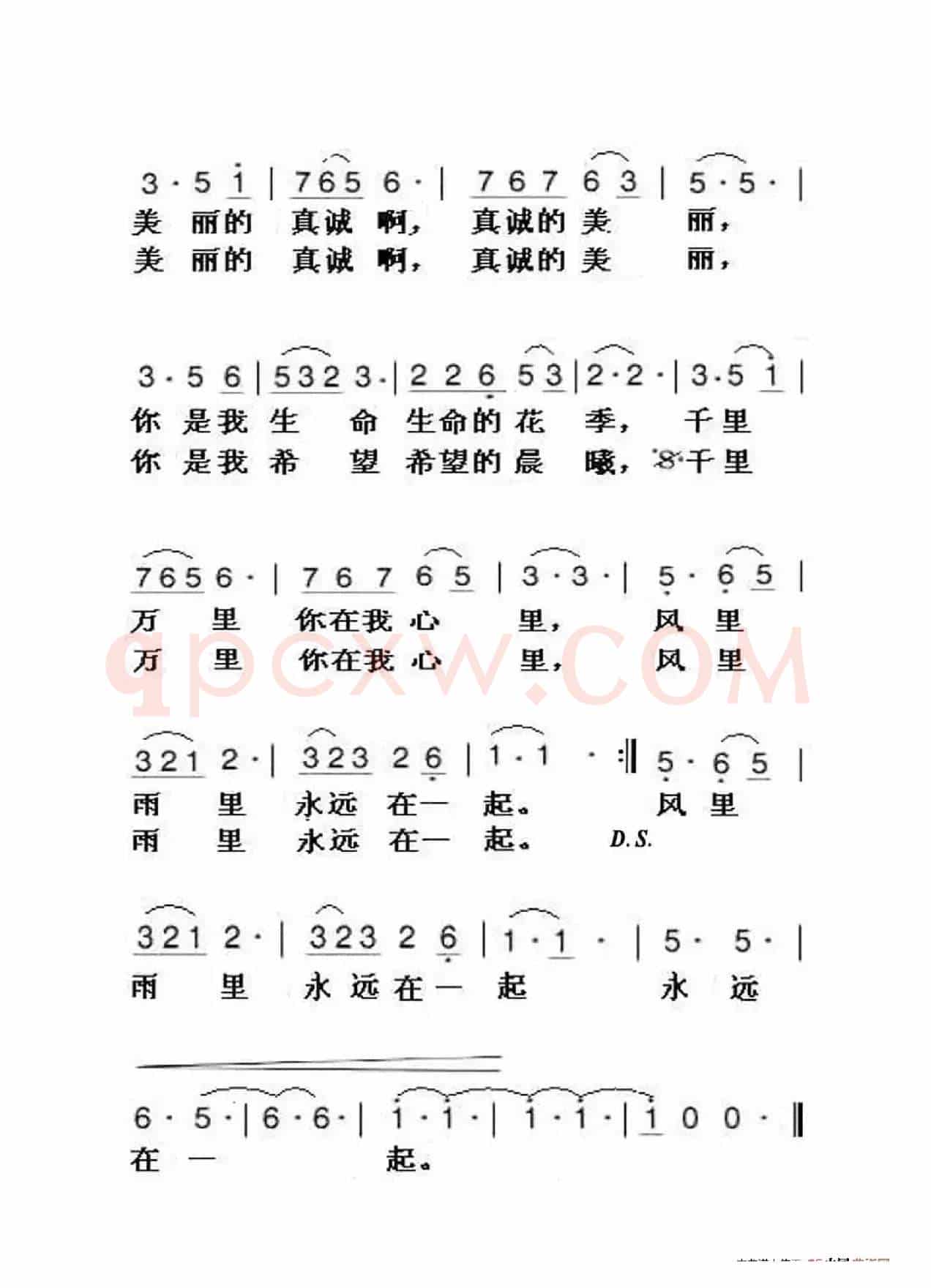 真诚的美丽（大字老人适用）