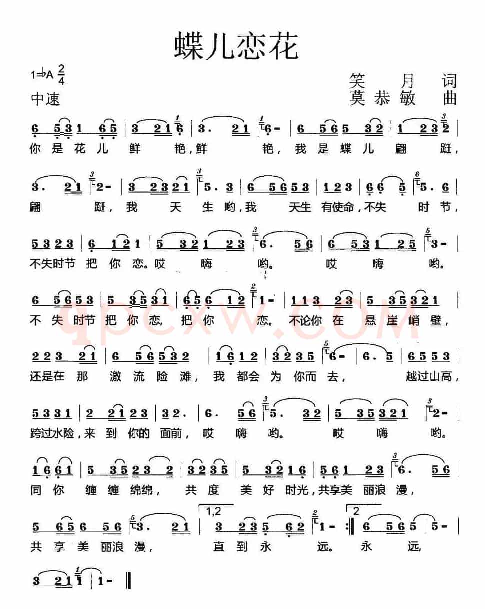 蝶儿恋花