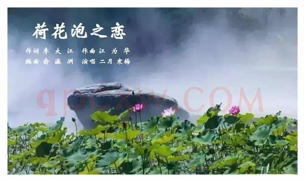 荷花泡之恋