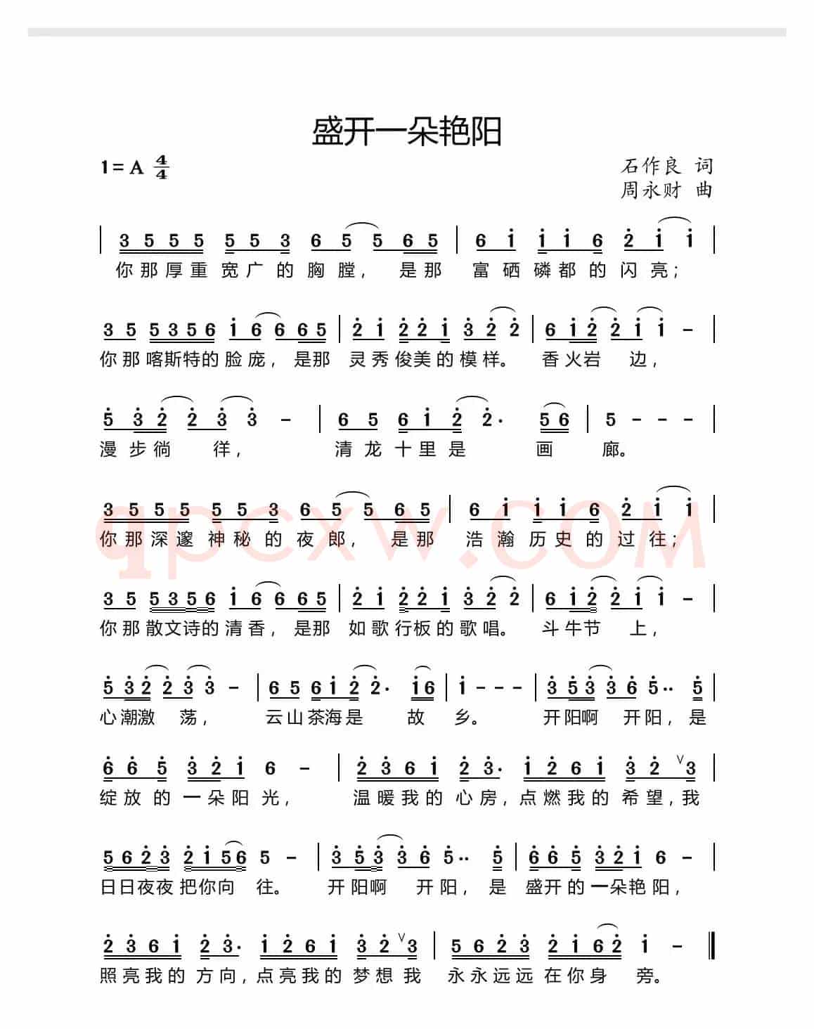 盛开一朵艳阳