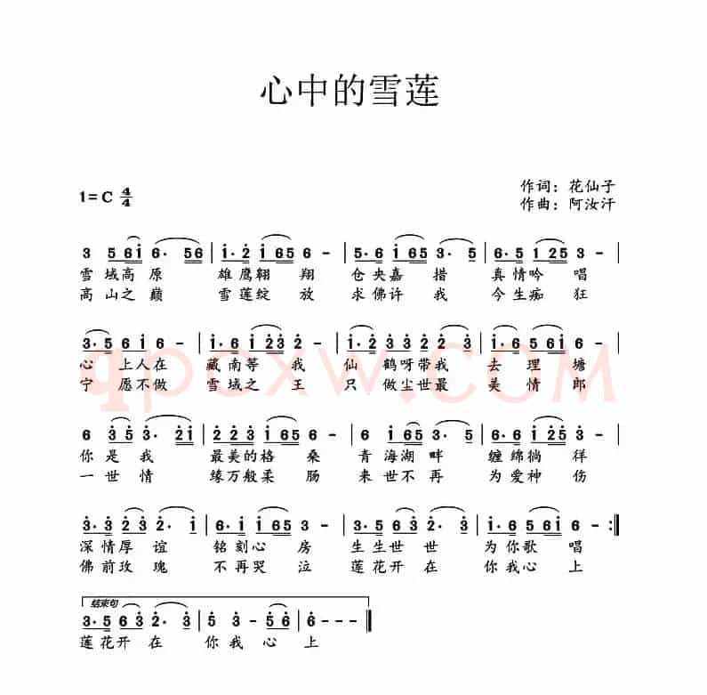 心中的雪莲（花仙子词 阿汝汗曲）