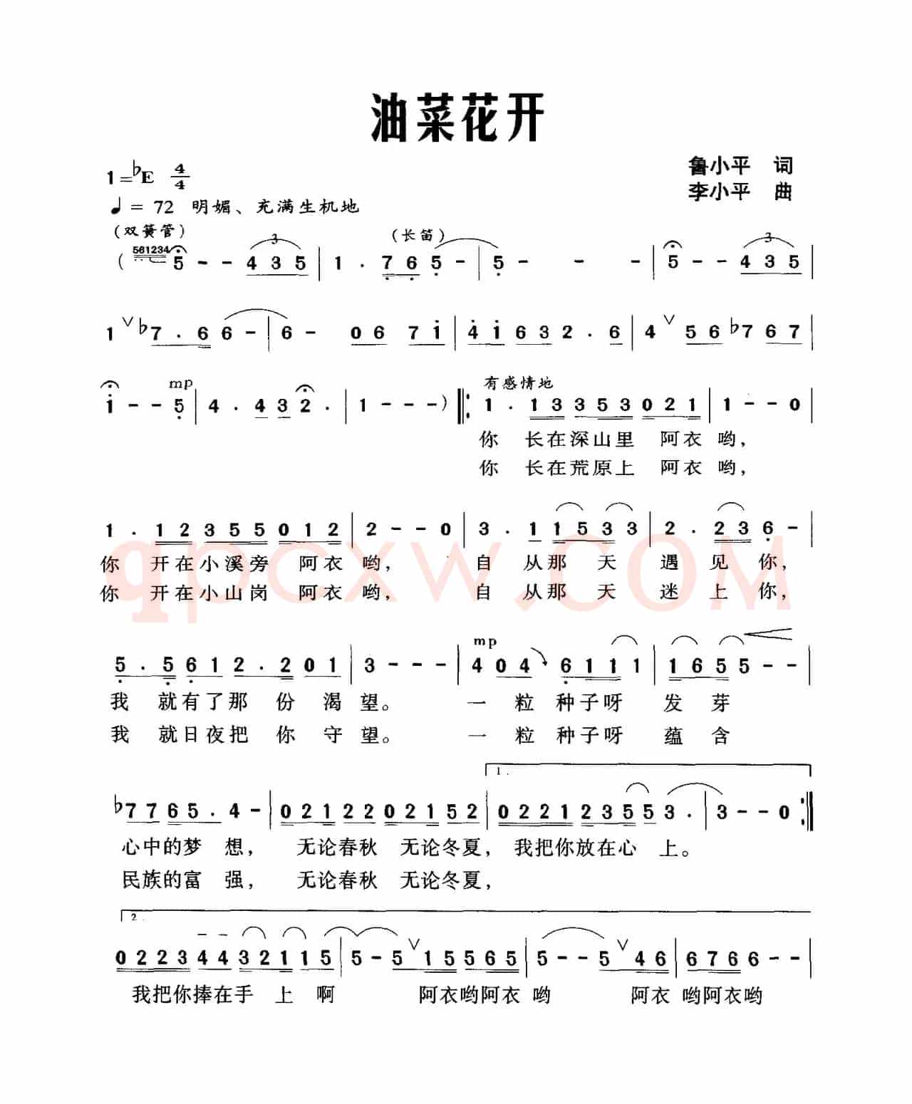 油菜花开（鲁小平词 李小平曲）