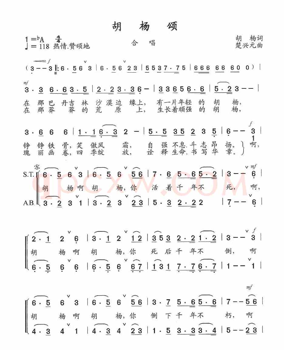 胡杨颂(酒泉金塔胡杨节主题歌)
