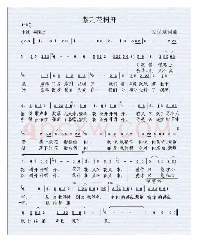 紫荆花树开