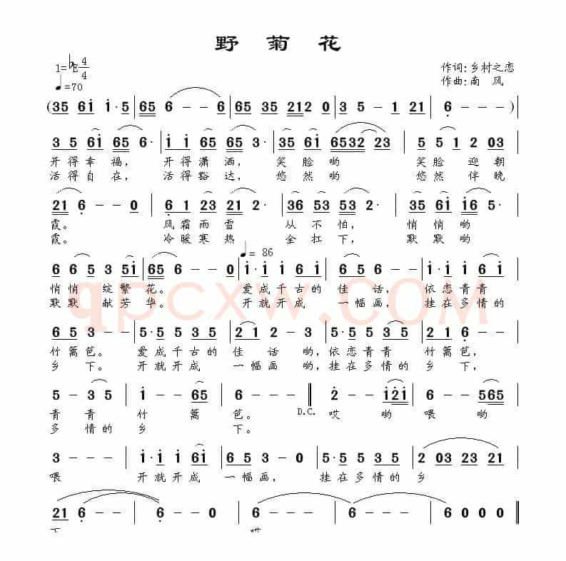 野菊花（乡村之恋词 南风曲）