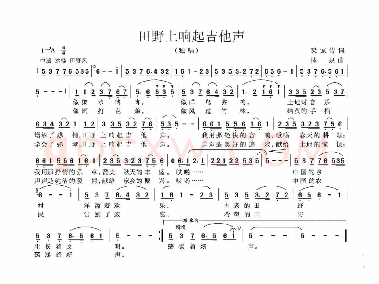 田野上响起吉他声