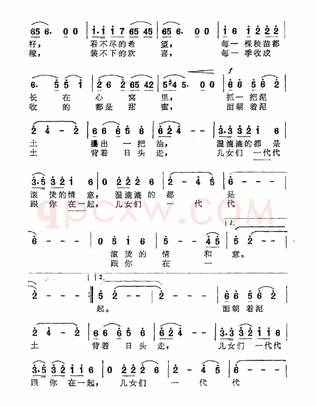 生死相依的土地